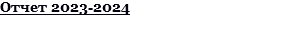 Отчет 2023-2024