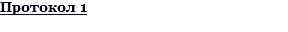 Протокол 1