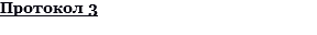Протокол 3