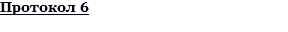 Протокол 6