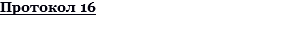 Протокол 16