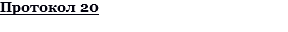 Протокол 20